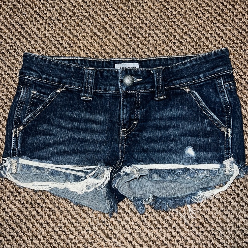 Super cute Daytrip shorts